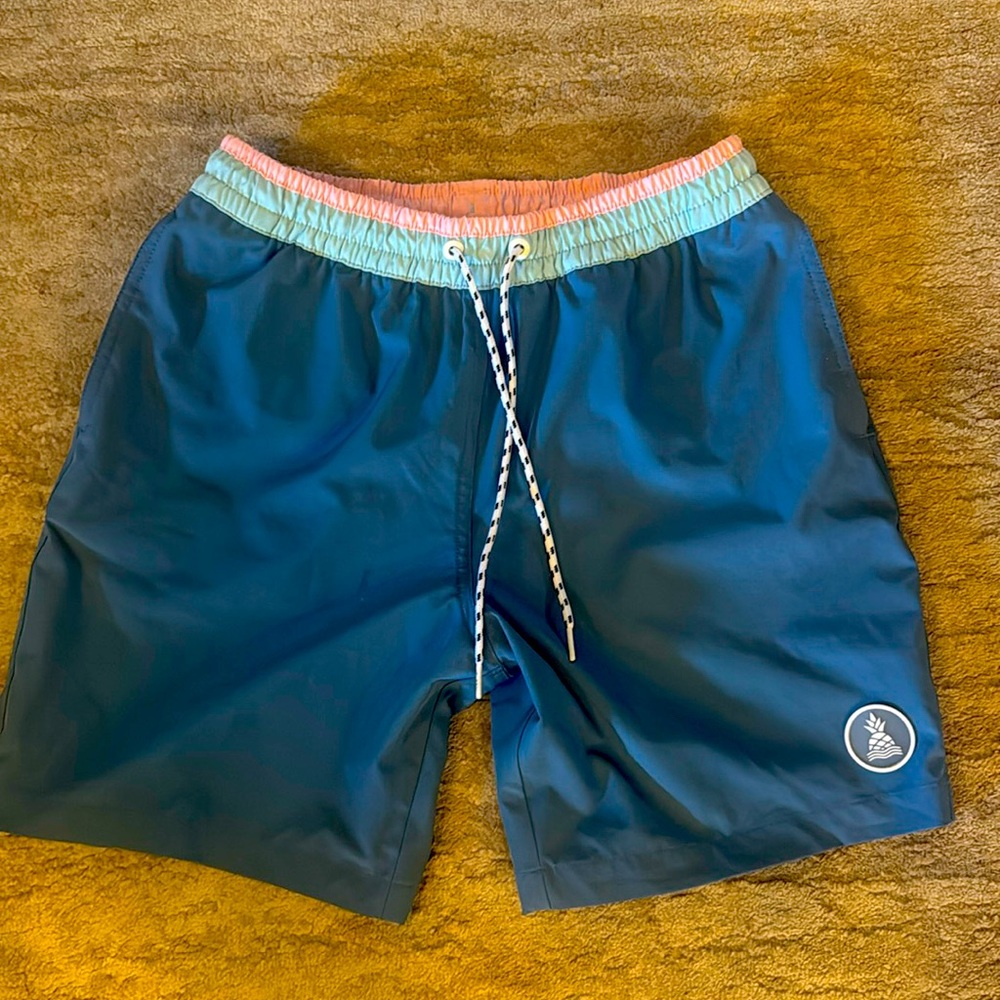 Chubbies Men’s Swim Trunks